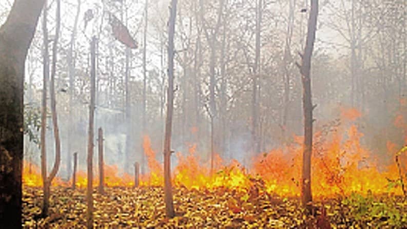 <div class="paragraphs"><p>ಸಾಂದರ್ಭಿಕ ಚಿತ್ರ</p></div>