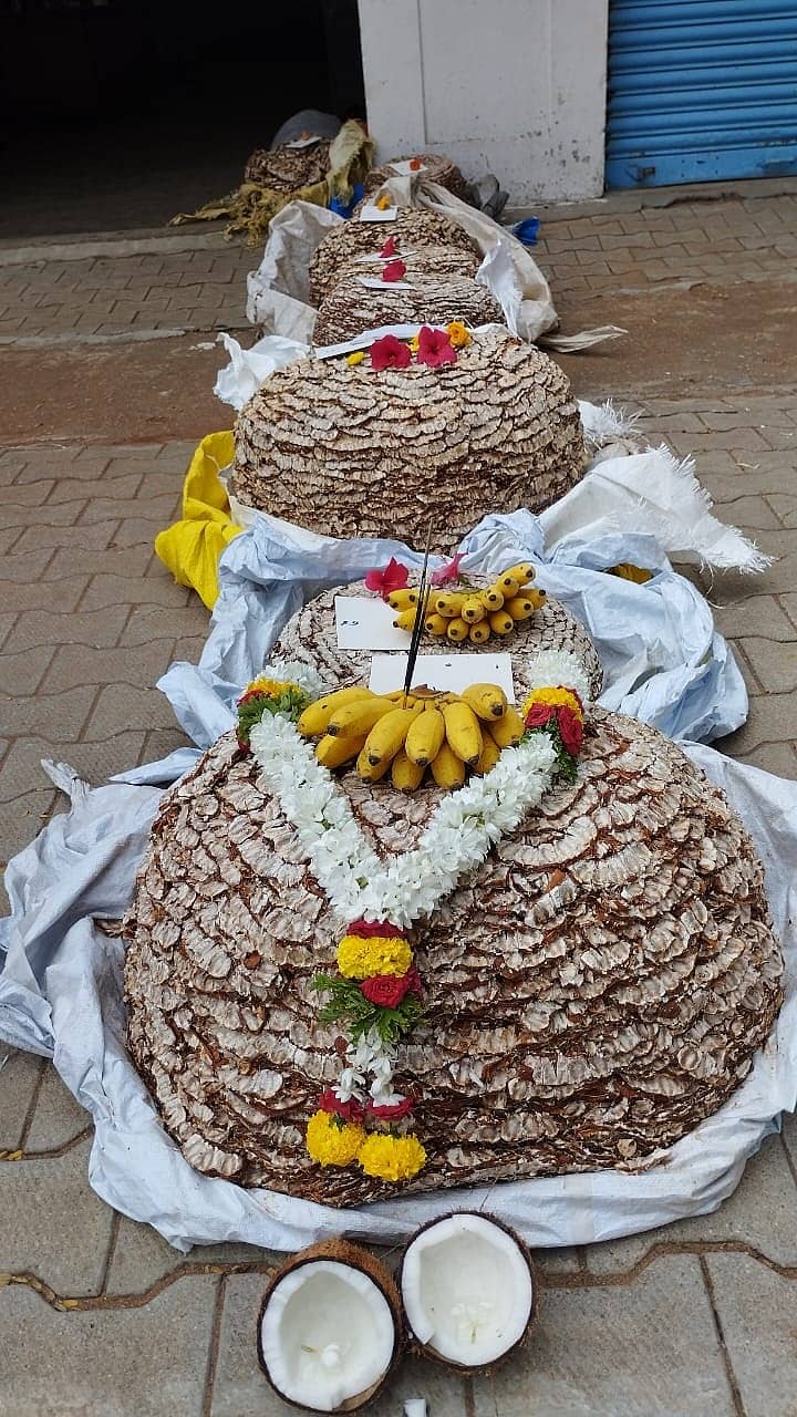 ತುಮಕೂರಿನ ಎಪಿಎಂಸಿ ಮಾರುಕಟ್ಟೆಯಲ್ಲಿ ಸೋಮವಾರ ಪೂಜೆ ಸಲ್ಲಿಸಿ ಹುಣಸೆ ಹಣ್ಣಿನ ವಹಿವಾಟಿಗೆ ಚಾಲನೆ ನೀಡಲಾಯಿತು