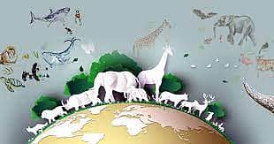 <div class="paragraphs"><p>ಸಾಂದರ್ಭಿಕ ಚಿತ್ರ</p></div>