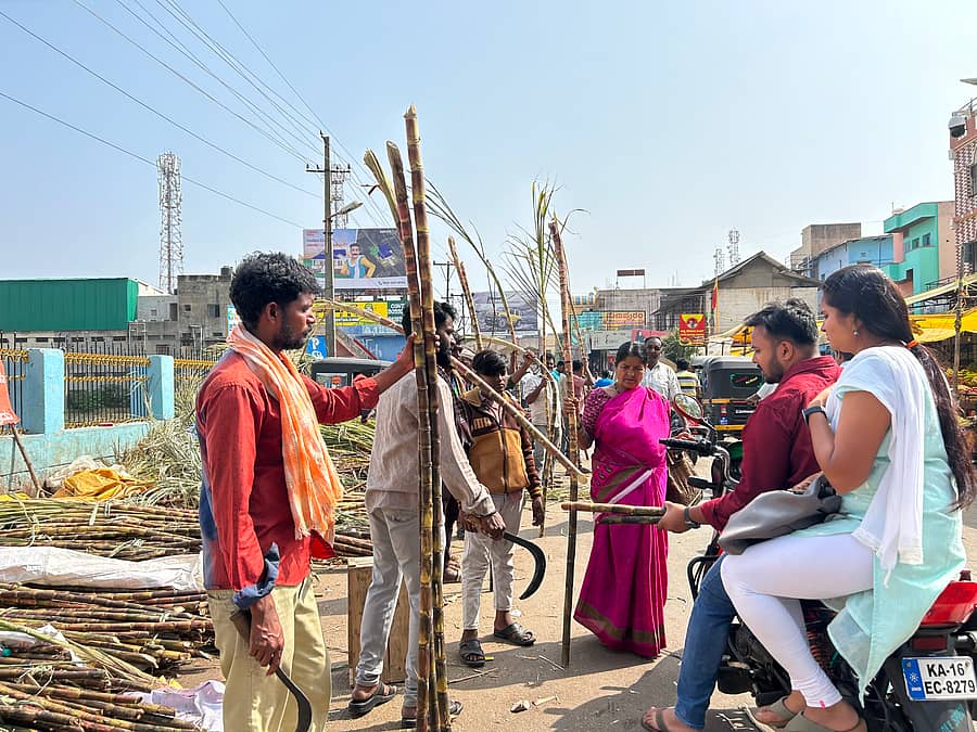 ಚಿತ್ರದುರ್ಗದ ಸಂತೆಹೊಂಡದ ಬಳಿ ಕಬ್ಬು ಖರೀದಿಯಲ್ಲಿ ನಿರತರಾದ ಜನರು