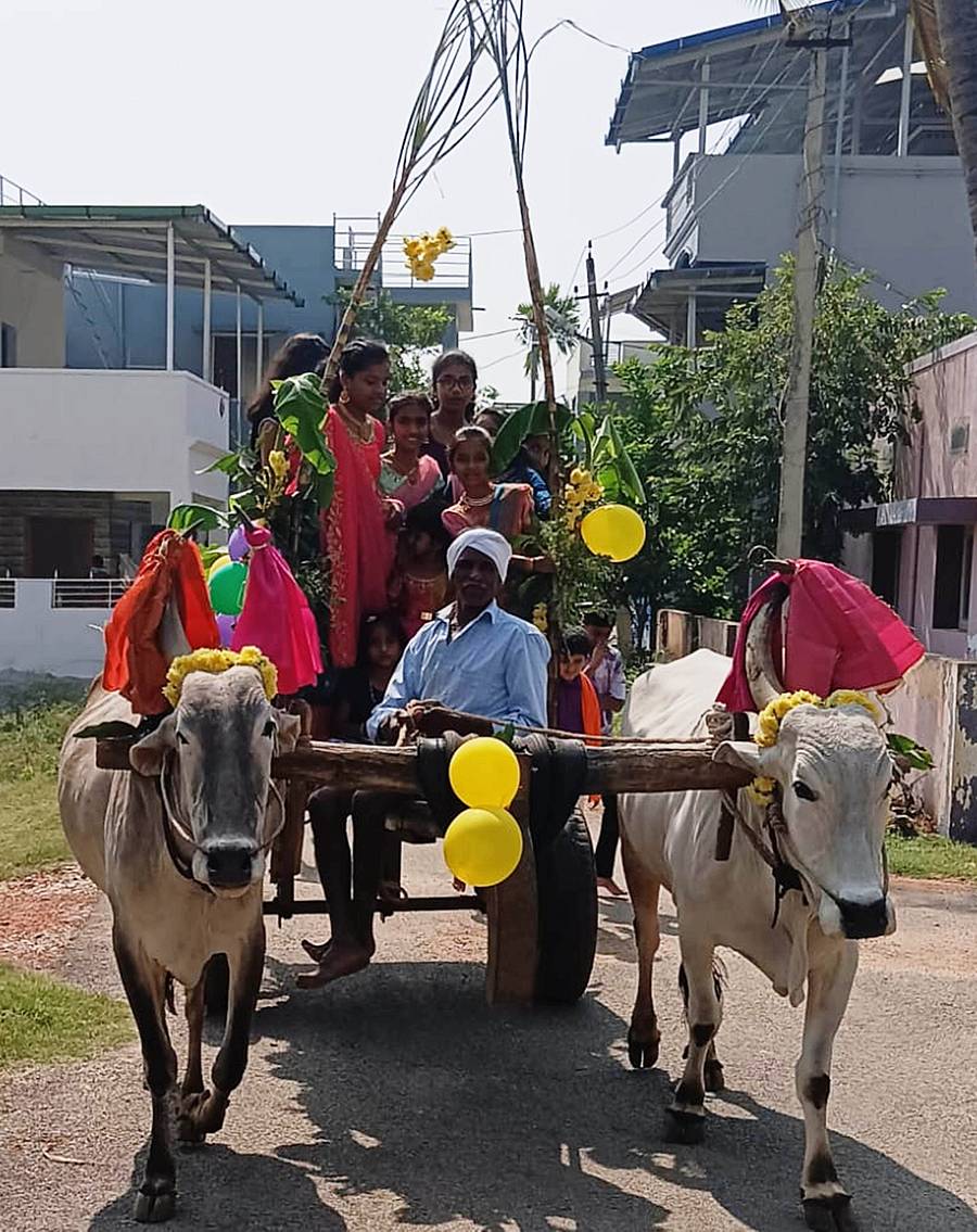 ಬೀರೂರು ಪಟ್ಟಣದ ಬಸಪ್ಪ ಬಡಾವಣೆಯಲ್ಲಿ ಸಂಕ್ರಾಂತಿ ಸಂಭ್ರಮದ ಅಂಗವಾಗಿ ಮಕ್ಕಳನ್ನು ಎತ್ತಿನಬಂಡಿಯಲ್ಲಿ ಮೆರವಣಿಗೆ ಮಾಡಲಾಯಿತು