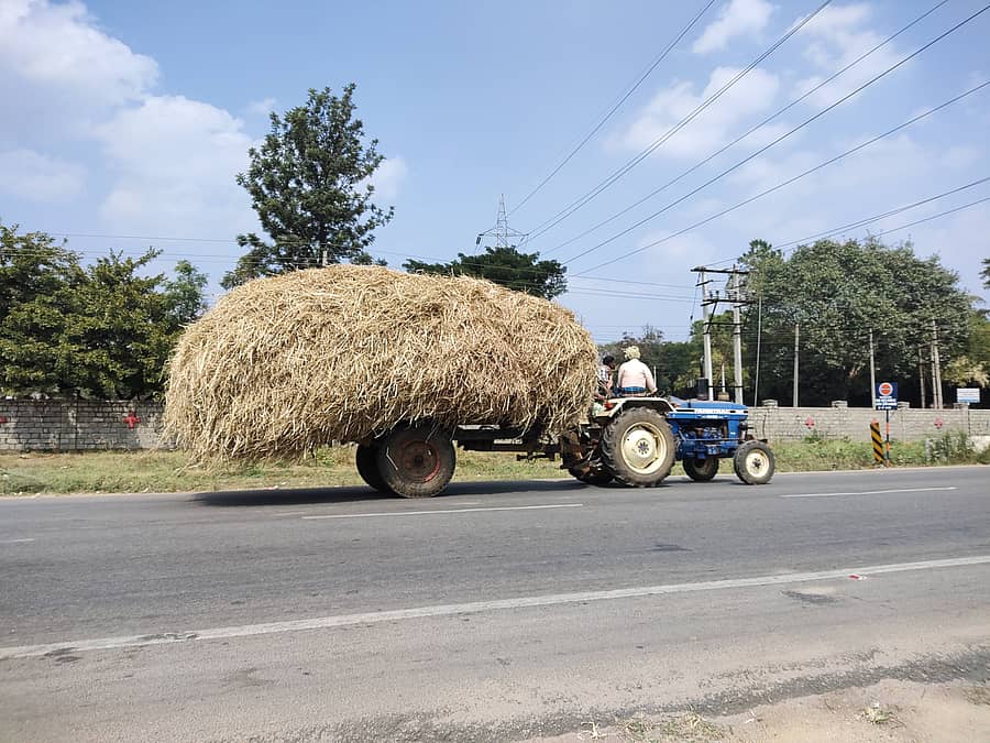 ಹೊರ ಜಿಲ್ಲೆಗಳಿಗೆ ಹೋಗಿ ಮೇವನ್ನು ತರುತ್ತಿರುವ ರೈತರು