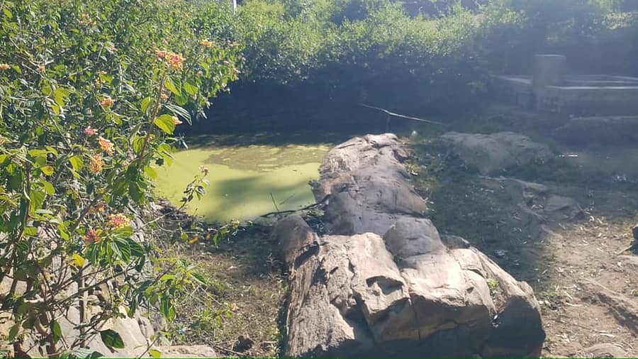 ಮಹದೇಶ್ವರ ಬೆಟ್ಟ ವ್ಯಾಪ್ತಿ ಕೊಕ್ಬರೆ ಗ್ರಾಮದ ಕಟ್ಟೆಯಲ್ಲಿ ನೀರಿನ ಮಟ್ಟ ಕುಸಿದಿದೆ