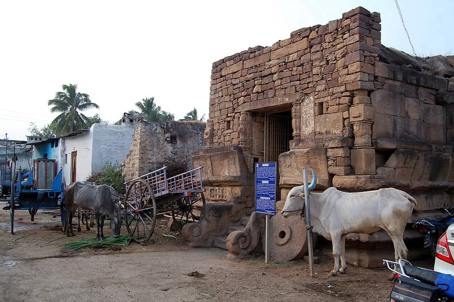 ಐಹೊಳೆ ಸ್ಮಾರಕವೊಂದರ ಮುಂದೆ ಬಂಡಿ ನಿಲ್ಲಿಸಿ, ಜಾನುವಾರುಗಳನ್ನು ಕಟ್ಟಿರುವುದು