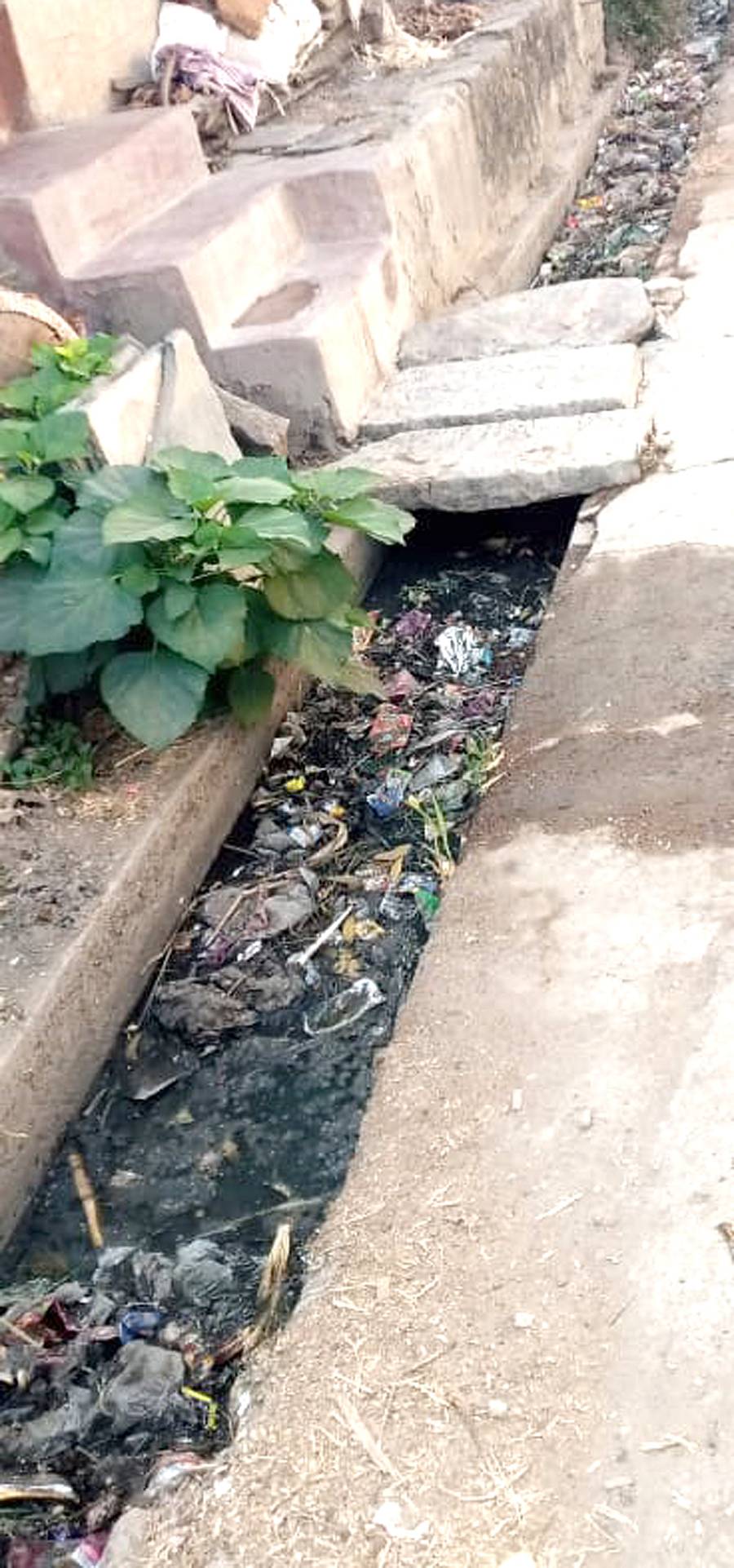 ನರೇಗಲ್ ಸಮೀಪದ ಜಕ್ಕಲಿ ಗ್ರಾಮದಲ್ಲಿ ಚರಂಡಿಯಲ್ಲಿ ತುಂಬಿರುವ ತ್ಯಾಜ್ಯ