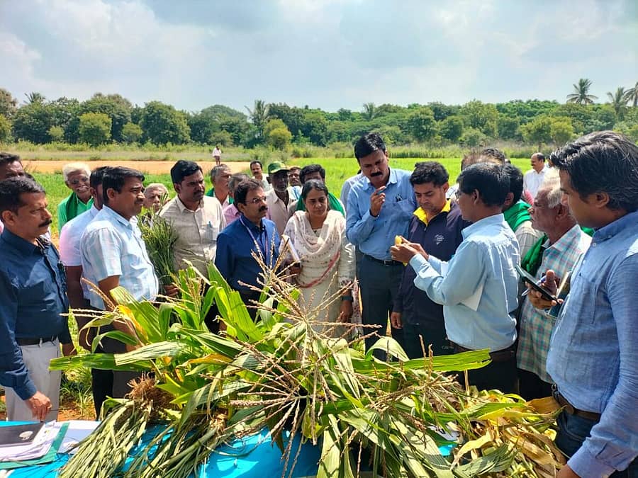 ಚಿಕ್ಕಬಳ್ಳಾಪುರ ತಾಲ್ಲೂಕಿನ ಚೊಕ್ಕಹಳ್ಳಿಯಲ್ಲಿ ಕೇಂದ್ರ ಬರ ಅಧ್ಯಯನ ತಂಡ ಮಾಹಿತಿ ಕಲೆಹಾಕುತ್ತಿರುವುದು (ಸಂಗ್ರಹ ಚಿತ್ರ)