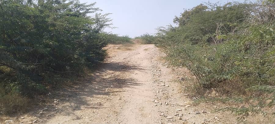 ಡಂಬಳ ಹೋಬಳಿ ಪೇಠಾಲೂರ ಗ್ರಾಮದಿಂದ ಗೋವಿನಕೊಪ್ಪ ಗ್ರಾಮಕ್ಕೆ ಸಂಪರ್ಕ ಕಲ್ಪಸುವ ರಸ್ತೆಯ ಚಿತ್ರಣ.