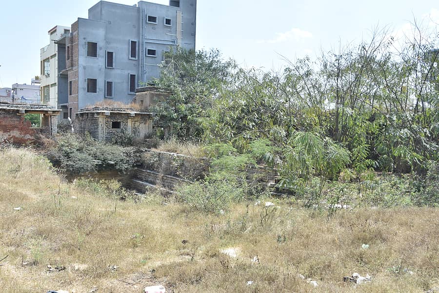 ಗಿಡಗಳಿಂದ ಆವೃತವಾಗಿರುವ ವಾಪಸಂದ್ರದ ಕಲ್ಯಾಣಿ