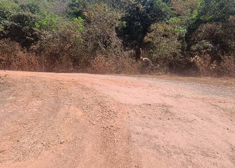 ವಡ್ಡಿ ಘಟ್ಟ ಪ್ರದೇಶದಲ್ಲಿ ರಸ್ತೆ ಸಂಪೂರ್ಣ ಹದಗೆಟ್ಟಿರುವುದು.