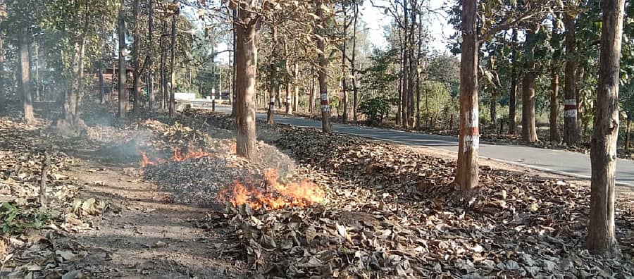 ಶಿವಮೊಗ್ಗದ ಹೊಸನಗರ ತಾಲ್ಲೂಕು ಅರಣ್ಯ ವಯಲಯ ಪ್ರದೇಶಗಳಲ್ಲಿ ಅರಣ್ಯ ಇಲಾಖೆ ಸಿಬ್ಬಂದಿಗಳು ಕಾಡಿಗೆ ಕಾಳ್ಗಿಚ್ಚು ಹಬ್ಬದಂತೆ ತಪ್ಪಿಸಲು ಬೆಂಕಿ ನಂದಕ ಗೆರೆಗಳನ್ನು ನಿರ್ಮಿಸುತ್ತಿದ್ದಾರೆ.