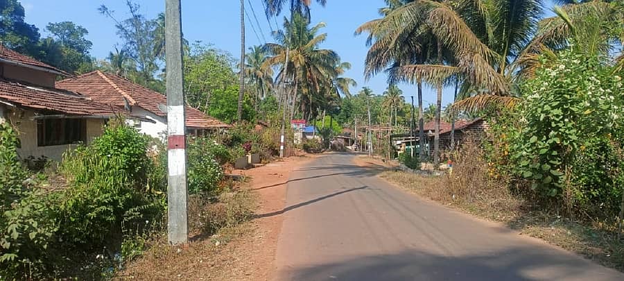 ಮುಂಡಗೋಡ ತಾಲ್ಲೂಕಿನ ಬೆಡಸಗಾಂವ ಗ್ರಾಮದ ಮುಖ್ಯ ರಸ್ತೆ