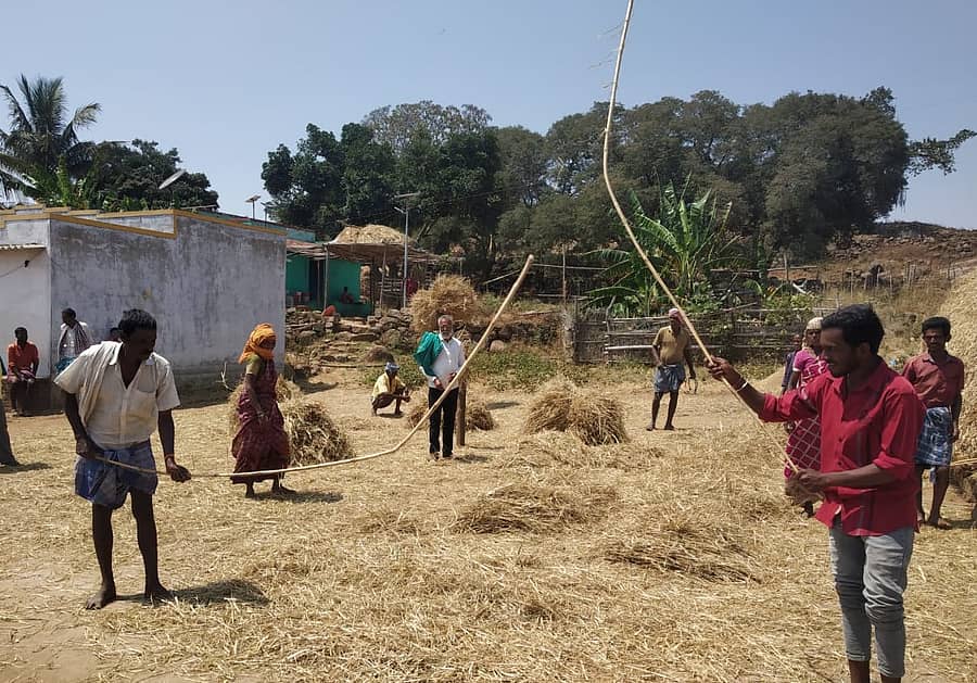 ಮಹದೇಶ್ವರ ಬೆಟ್ಟ ವ್ಯಾಪ್ತಿಯ ದೊಡ್ಡಾಣೆಯಲ್ಲಿ ಸಾಂಪ್ರದಾಯಿಕ ವಿಧಾನದಲ್ಲಿ ದೊಡ್ಡ ರಾಗಿ ಒಕ್ಕಣೆ ಮಾಡುತ್ತಿರುವ ಕೃಷಿಕರು