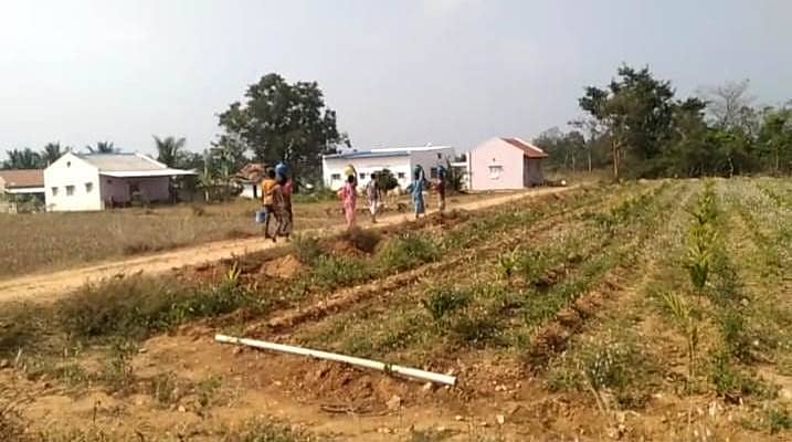 ತುರುವೇಕೆರೆ ತಾಲ್ಲೂಕಿನ ಗಡಿಭಾಗದ ಮೊದ್ಲಾಪುರ ಮಜರೆ ಲಕ್ಷ್ಮಿನಗರ ಗ್ರಾಮಸ್ಥರು ಹೊಲದಲ್ಲಿ ನೀರು ಹಿಡಿಯುತ್ತಿರುವುದು