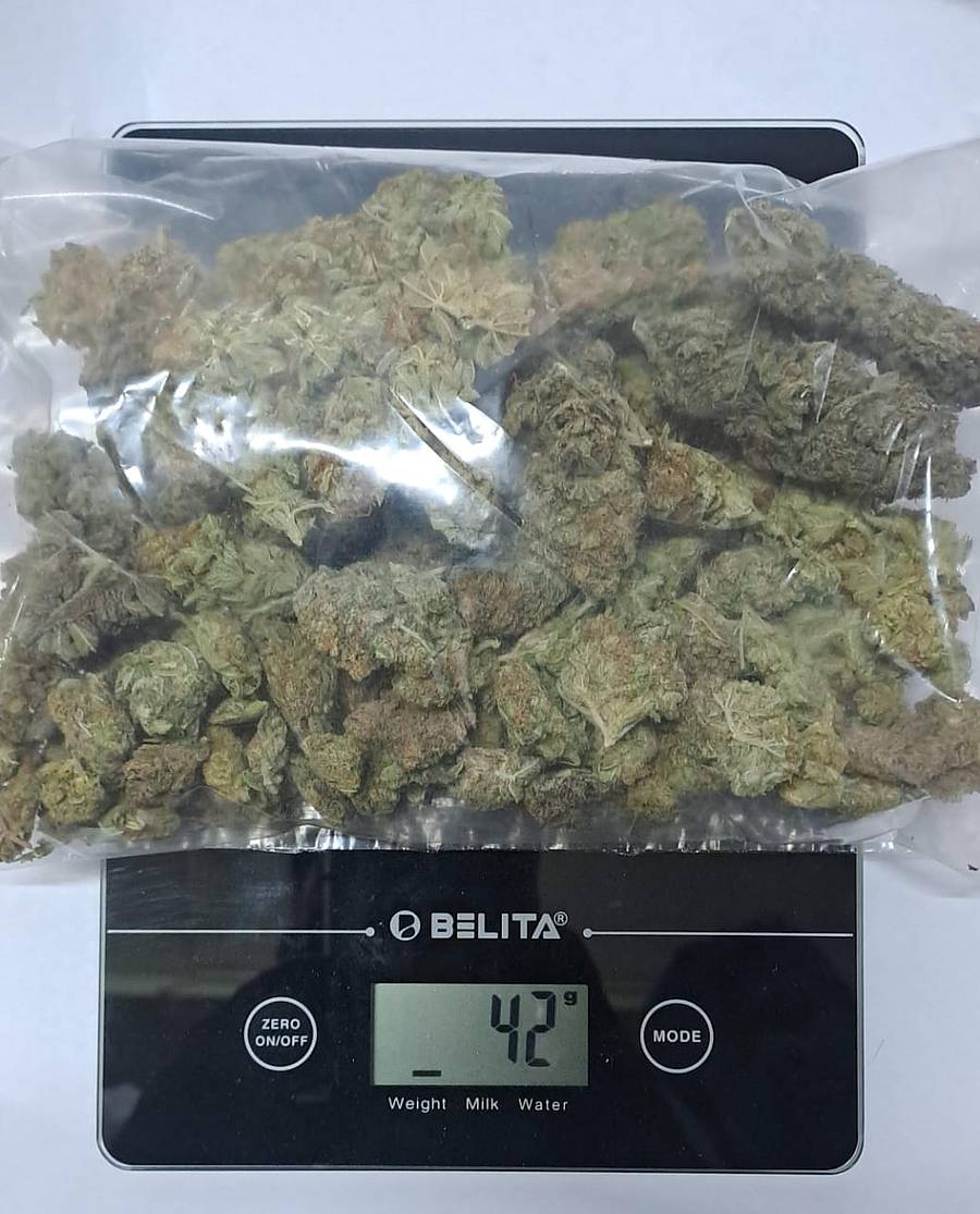 ಅಂಚೆ ಮೂಲಕ ತರಿಸಿದ್ದ ಹೈಡ್ರೊ ಗಾಂಜಾ