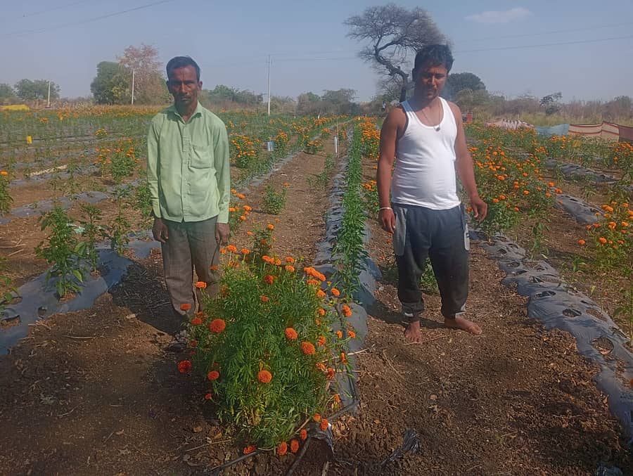 ಕಮಲನಗರ ತಾಲ್ಲೂಕಿನ ಡೋಣಗಾಂವ (ಎಂ) ಗ್ರಾಮದ ತಮ್ಮ ಜಮೀನಿನಲ್ಲಿ ಬೆಳೆದ ಬೆಳೆಗಳೊಂದಿಗೆ ಸೋಮನಾಥ ಬಸವರಾಜ ಗಂದಗೆ