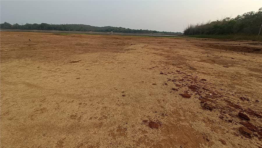 ಜೀವ ಜಲವಿಲ್ಲದೆ ಬರಿದಾಗಿರುವ ಹರಿಹರ ತಾಲ್ಲೂಕಿನ ಕೊಂಡಜ್ಜಿ ಕೆರೆ