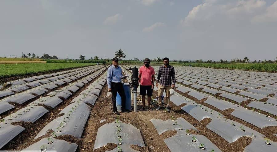 ಚಿಕ್ಕೋಡಿ ತಾಲ್ಲೂಕಿನ ಕಬ್ಬೂರು ಪಟ್ಟಣದ ಹೊರವಲಯದಲ್ಲಿ ನೀರಿಲ್ಲದೇ ಬಾಡಿ ಹೋಗುತ್ತಿರುವ ತರಕಾರಿ ಬೆಳೆಯನ್ನು ಇಲಾಖೆಯ ಅಧಿಕಾರಿಗಳು ಹಾಗೂ ರೈತರು ಪರಿಶೀಲಿಸಿದರು