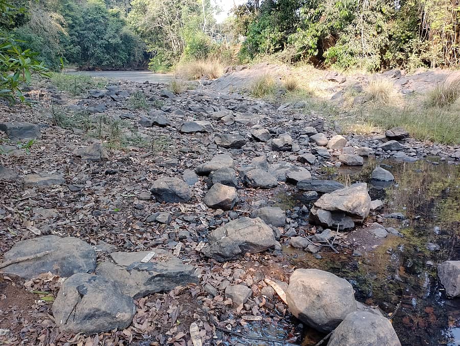 ಶಿರಸಿಯ ಶಾಲ್ಮಲಾ ನದಿ ಬತ್ತಿರುವುದು