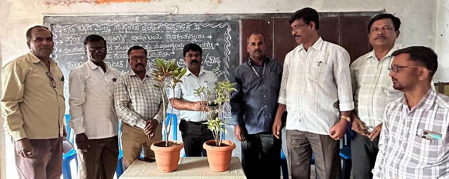 ತುಮ್ಮಿನಕಟ್ಟಿ ಗ್ರಾಮದ ಸಂಗನಬಸವೇಶ್ವರ ಪ್ರೌಢಶಾಲೆಯಲ್ಲಿ ಗುರುವಾರ ನಡೆದ ಕ್ಲಸ್ಟರ್ ಮಟ್ಟದ ಪ್ರಾಥಮಿಕ ಹಾಗೂ ಪ್ರೌಢಶಾಲಾ ಮುಖ್ಯ ಶಿಕ್ಷಕರು ಹಾಗೂ ಸಹಶಿಕ್ಷಕರಿಗಾಗಿ ಏರ್ಪಡಿಸಿದ್ದ ವಾರ್ಷಿಕ ಪರೀಕ್ಷಾ ಪೂರ್ವಭಾವಿ ಸಭೆಯನ್ನು ಕ್ಷೇತ್ರ ಶಿಕ್ಷಣಾಧಿಕಾರಿ ಎಂ. ಎಚ್ ಪಾಟೀಲ ಸಸಿಗೆ ನೀರುಣಿಸುವ ಮೂಲಕ ಉದ್ಘಾಟಿಸಿದರು