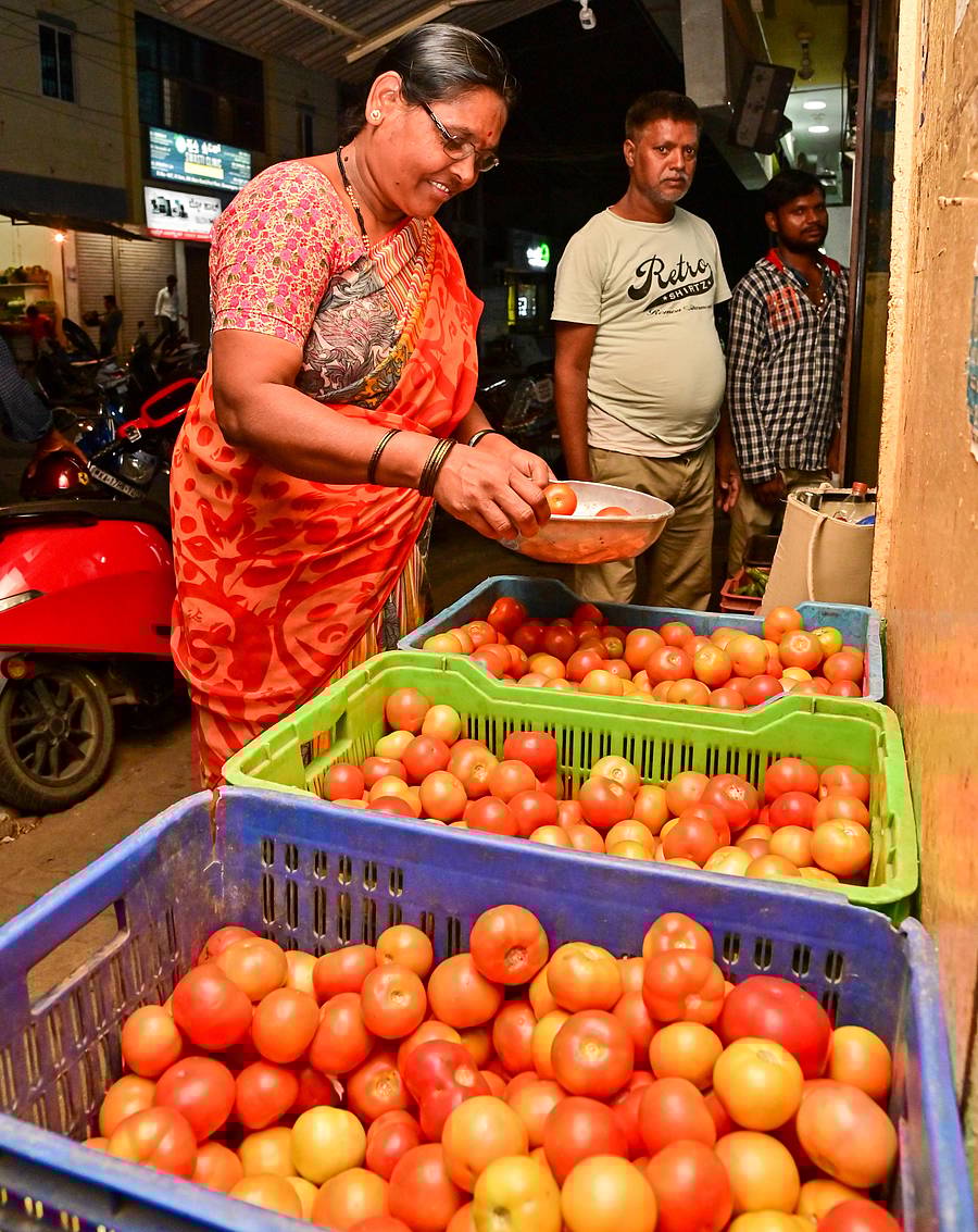 <div class="paragraphs"><p>ದಾವಣಗೆರೆಯ ಪಿ.ಜೆ. ಬಡಾವಣೆಯ ಮಳಿಗೆಯೊಂದರಲ್ಲಿ ಮಹಿಳೆಯೊಬ್ಬರು ಟೊಮೆಟೊ ಖರೀದಿಸುತ್ತಿರುವುದು.</p></div>