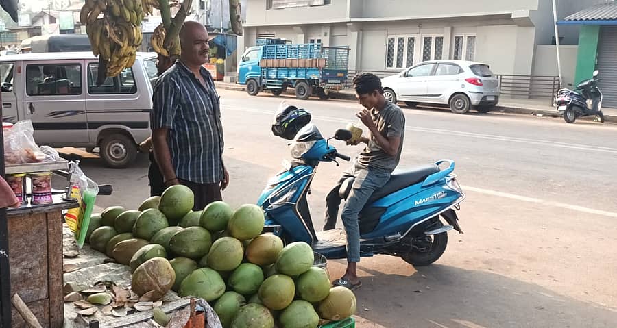 ಬಣಕಲ್ನ ಎಳನೀರು ಅಂಗಡಿಯಲ್ಲಿ ಗ್ರಾಹಕರೊಬ್ಬರು ಬಿಸಿಲಿನ ಧಗೆಗೆ ಎಳನೀರು ಸೇವಿಸುತ್ತಿರುವುದು