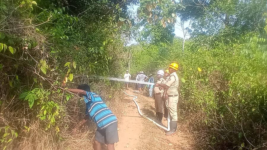 ಹೆತ್ತೂರು ಸಮೀಪದ ಕರಡಿಗಾಲದಲ್ಲಿ ಗೋಮಾಳಕ್ಕೆ ಹತ್ತಿಕೊಂಡಿದ್ದ ಬೆಂಕಿಯನ್ನು ಅಗ್ನಿಶಾಮಕ ದಳದ ಸಿಬ್ಬಂದಿ ನಂದಿಸಿದರು.