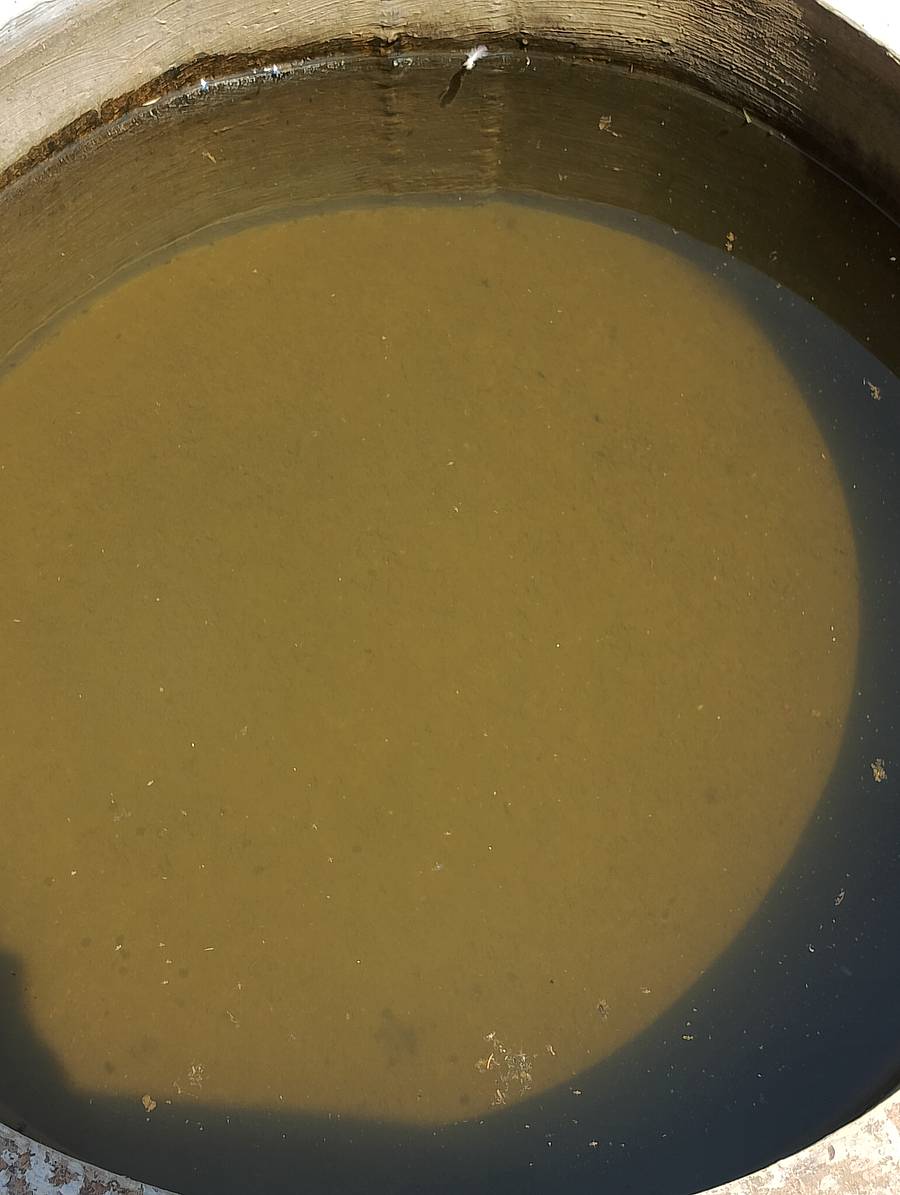 ಶಿರಸಿಯ ಪ್ರಗತಿ ನಗರದಲ್ಲಿ ದುರ್ನಾತ ಬೀರುವ ಬಾವಿಯ ನೀರು