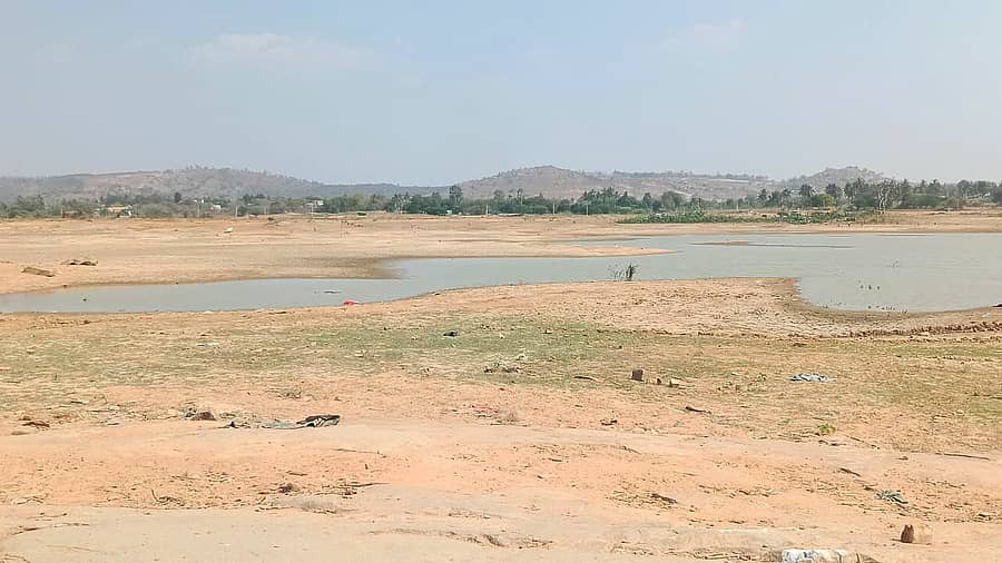 ಸಾದಲಿ ಹೊಸ ಕೆರೆಯಲ್ಲಿ ನೀರಿಲ್ಲದೆ ಬಯಲು ಭೂಮಿಯಂತೆ ಕಾಣುತ್ತಿರುವುದು