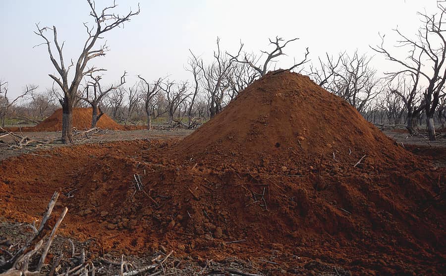 ಹಗರಿಬೊಮ್ಮನಹಳ್ಳಿ ತಾಲ್ಲೂಕಿನ ಅಂಕಸಮುದ್ರ ಪಕ್ಷಿ ಸಂರಕ್ಷಿತ ಮೀಸಲು ಪ್ರದೇಶದಲ್ಲಿ ನಿರ್ಮಾಣದ ಹಂತದಲ್ಲಿರುವ ನಡುಗಡ್ಡೆಗಳು