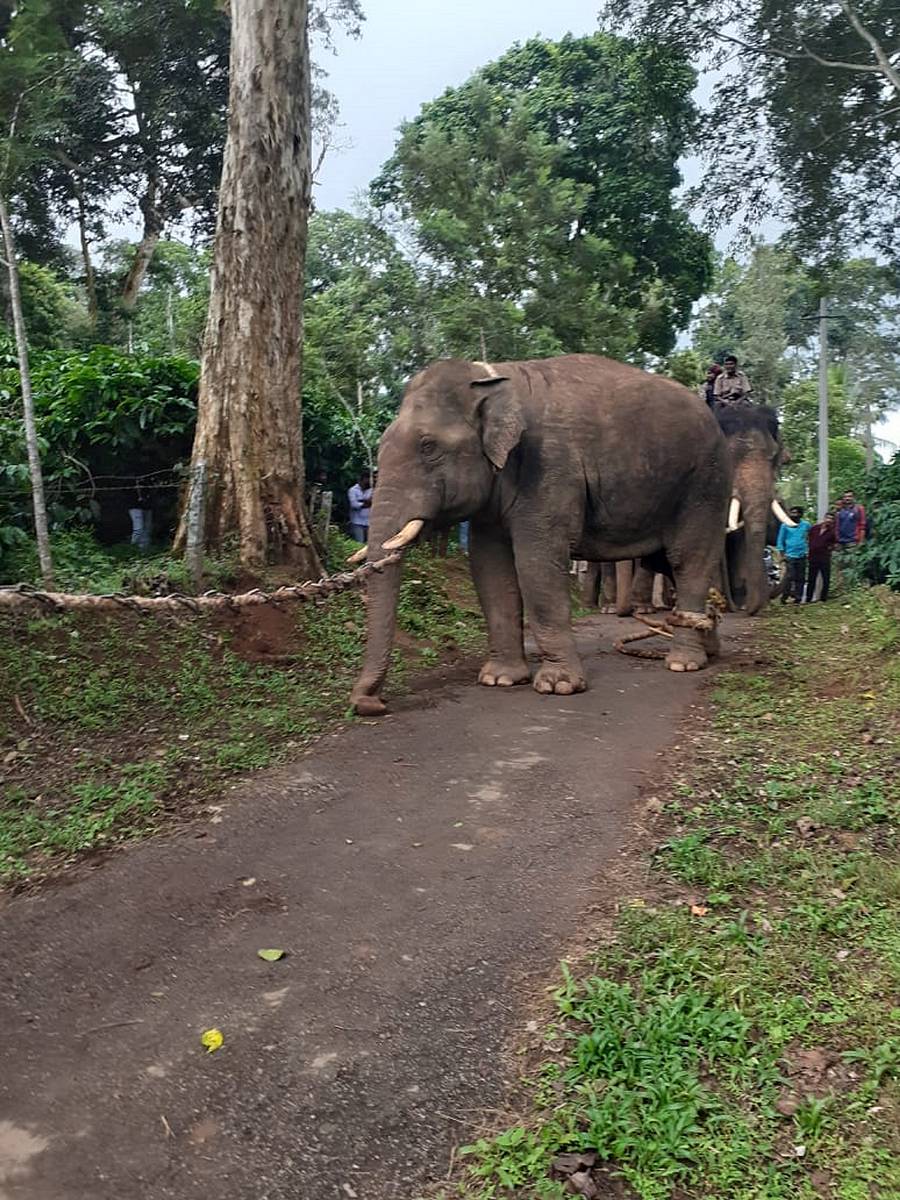 ಸಾಂದರ್ಭಿಕ ಚಿತ್ರ