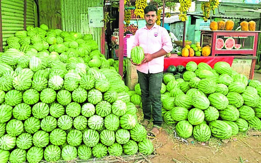 <div class="paragraphs"><p>ಬಸವಾಪಟ್ಟಣದಲ್ಲಿ ಶಿವರಾತ್ರಿ ಹಬ್ಬಕ್ಕಾಗಿ ತಮಿಳುನಾಡಿನಿಂದ ತರಿಸಿರುವ ಕಲ್ಲಂಗಡಿ ಹಣ್ಣು</p></div>