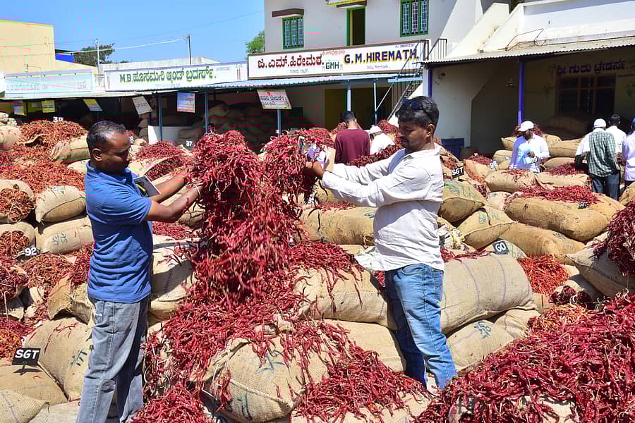 ಬ್ಯಾಡಗಿ ಮೆಣಸಿನಕಾಯಿ ಮಾರುಕಟ್ಟೆಯ ದೃಶ್ಯ