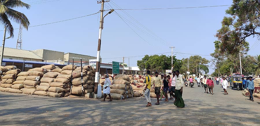 ಸಹಜ ಸ್ಥಿತಿಗೆ ಮರಳಿರುವ ಬ್ಯಾಡಗಿ ಮೆಣಸಿನಕಾಯಿ ಮಾರುಕಟ್ಟೆಯ ನೋಟ