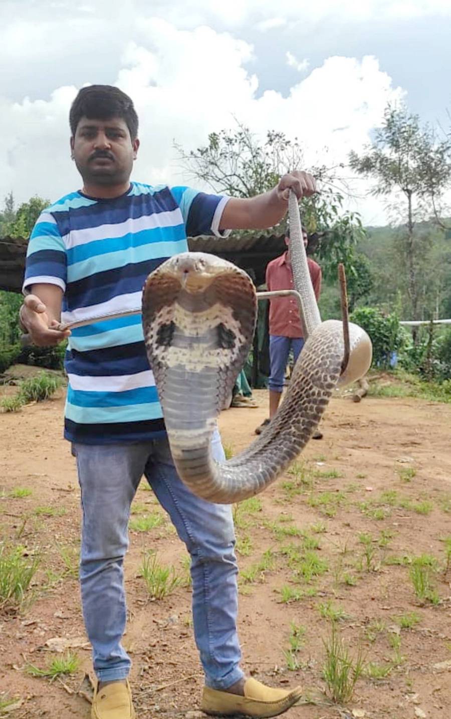 ಸೋಮವಾರಪೇಟೆ ಪಟ್ಟಣದಲ್ಲಿ ನಾಗರ ಹಾವನ್ನು ಹಿಡಿದಿರುವ ಸ್ನೇಕ್ ರಘು