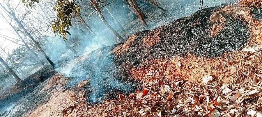 ಚನ್ನಪಟ್ಟಣ ತಾಲ್ಲೂಕಿನ ಅರಳಾಳುಸಂದ್ರ ಗ್ರಾಮದಲ್ಲಿ ಅಗ್ನಿಗೆ ಆಹುತಿಯಾದ ಮಾವಿನತೋಟ