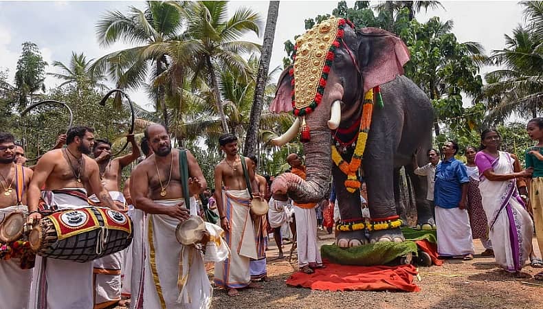 <div class="paragraphs"><p>ನಟಿ ಪ್ರಿಯಾಮಣಿ ಅವರು&nbsp;ಕೇರಳದ ತ್ರಿಕ್ಕಾಯಿಲ್ ಮಹಾದೇವ ದೇವಸ್ಥಾನಕ್ಕೆ ಯಾಂತ್ರಿಕ ಆನೆಯನ್ನು ದಾನ ನೀಡಿದ್ದಾರೆ.</p></div>
