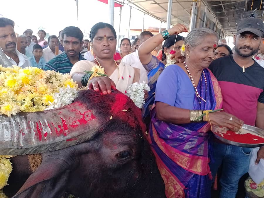 ಮಾರಿಕಾಂಬಾ ದೇವಿ ಜಾತ್ರೆಯ ಪೂರ್ವಭಾವಿಯಾಗಿ ನಡೆಯುವ ಅಂಕೆ ಹಾಕುವ ಕಾರ್ಯಕ್ರಮ ಬುಧವಾರ ಸಕಲ ಧಾರ್ಮಿಕ ವಿಧಾನಗಳೊಂದಿಗೆ ನಡೆಯಿತು