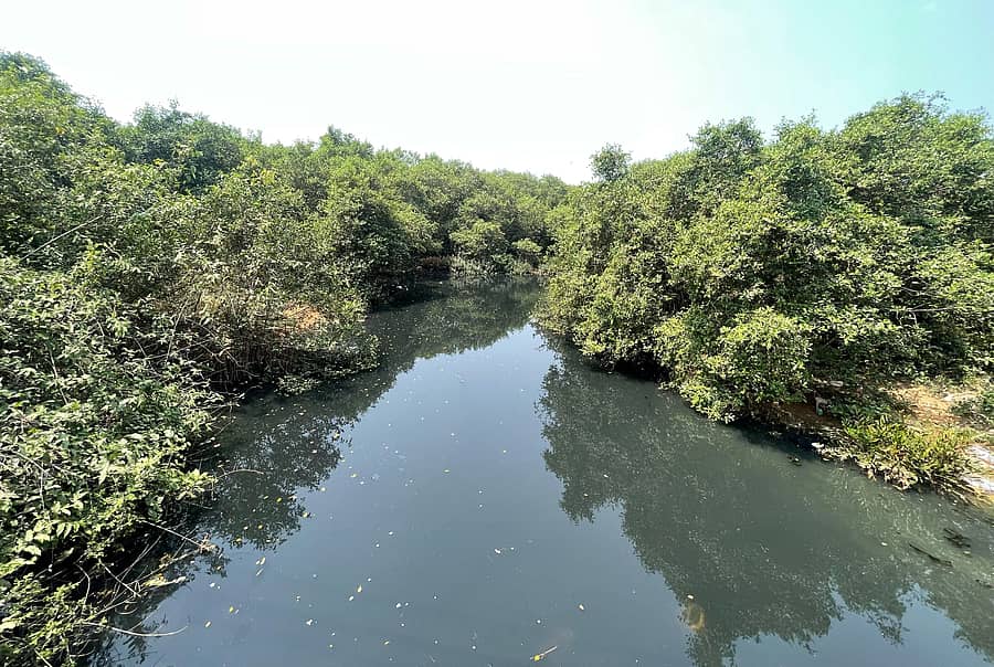 ಫಲ್ಗುಣಿ ನದಿಯ ನೀರು ಕಲುಷಿತಗೊಂಡು ಕಪ್ಪು ಬಣ್ಣಕ್ಕೆ ತಿರುಗಿರುವುದು