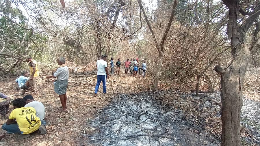 ಸೊರಬ ತಾಲ್ಲೂಕಿನ ಚಂದ್ರಗುತ್ತಿ ಹೋಬಳಿಯ ಹೊಳೆಮರೂರು ಗ್ರಾಮದಲ್ಲಿ ಅರಣ್ಯಭೂಮಿ ಸಾಗುವಳಿಗಾಗಿ ಕಾಡಿಗೆ ಬೆಂಕಿ ಹಚ್ಚಿರುವುದು