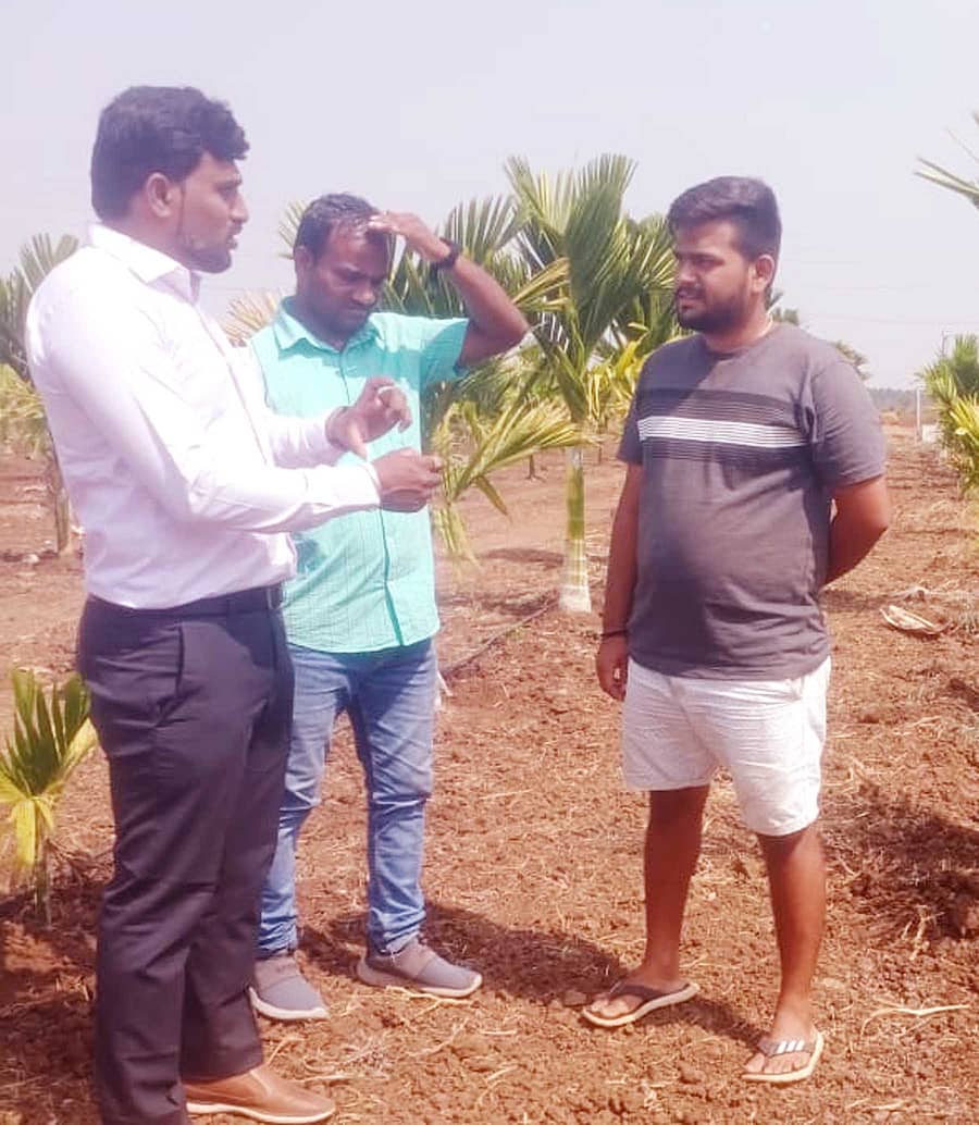 ಬಸವಾಪಟ್ಟಣ ಹೋಬಳಿಯಲ್ಲಿ ಅಡಿಕೆ ಫಸಲಿನಲ್ಲಿ ನಾಟಿ ಮಾಡಿರುವ ಪಪ್ಪಾಯ ಸಸಿಗಳ ರಕ್ಷಣೆ ಕುರಿತು ಮಂಗಳವಾರ ಕತ್ತಲಗೆರೆ ಕೃಷಿ ಮತ್ತು ತೋಟಗಾರಿಕಾ ಸಂಶೋಧನಾ ಕೇಂದ್ರದ ವಿಜ್ಞಾನಿ ಗಂಗಾಧರಪ್ಪ ಗೌಡ ಬಿರಾದಾರ್ ರೈತರಿಗೆ ಮಾಹಿತಿ ನೀಡಿದರು