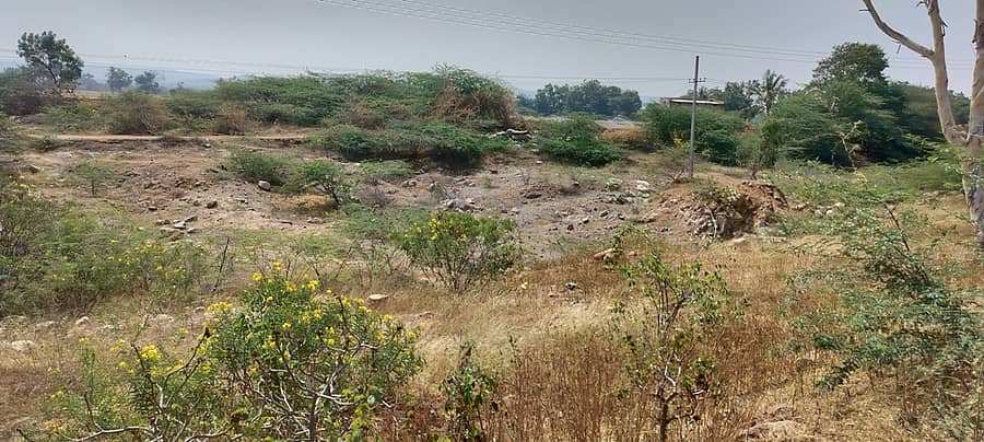 ಗುಳೇದಗುಡ್ಡ ತಾಲ್ಲೂಕಿನ ಹಳದೂರ ಪ್ರೌಢಶಾಲೆ ಕಟ್ಟಡ ನಿರ್ಮಾಣಕ್ಕೆ ಸರ್ಕಾರ ನೀಡಿರುವ ಜಮೀನಿನಲ್ಲಿ ಗಿಡ ಗಂಟಿ ಬೆಳೆದಿದೆ