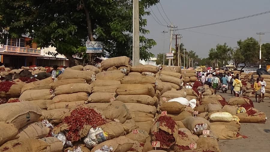 <div class="paragraphs"><p>ಬ್ಯಾಡಗಿ ಎಪಿಎಂಸಿ ಮಾರುಕಟ್ಟೆ ಮಂಗಳವಾರ ಸಹಜ ಸ್ಥಿತಿಗೆ ಮರಳಿದ್ದು, ಎಂದಿನಂತೆ ಮೆಣಸಿನಕಾಯಿ ವಹಿವಾಟು ನಡೆಯಿತು</p><p></p></div>