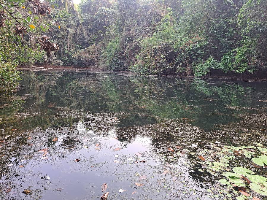ಹೂಳು ಪಾಚಿ ತುಂಬಿಕೊಂಡಿರುವ ಜಂಬರಮಠ ಕೆರೆ
