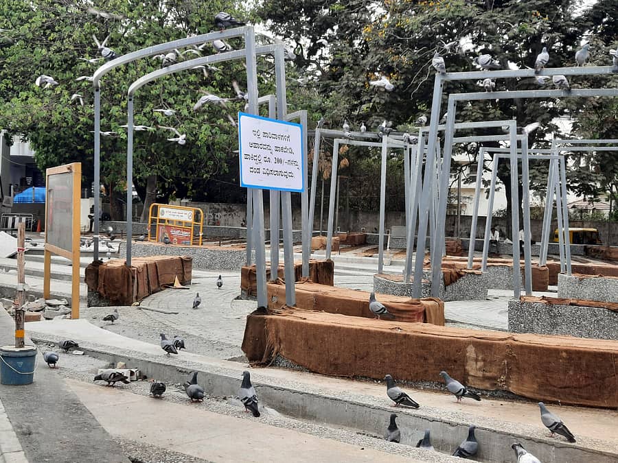 ರೇಸ್ಕೋರ್ಸ್ ರಸ್ತೆಯ ಜಂಕ್ಷನ್ನಲ್ಲಿ ಹಾಕಿರುವ ದಂಡದ ಫಲಕ ಹಾಗೂ ಆಹಾರಕ್ಕಾಗಿ ಕಾದು ಕುಳಿತಿರುವ ಪಾರಿವಾಳಗಳು