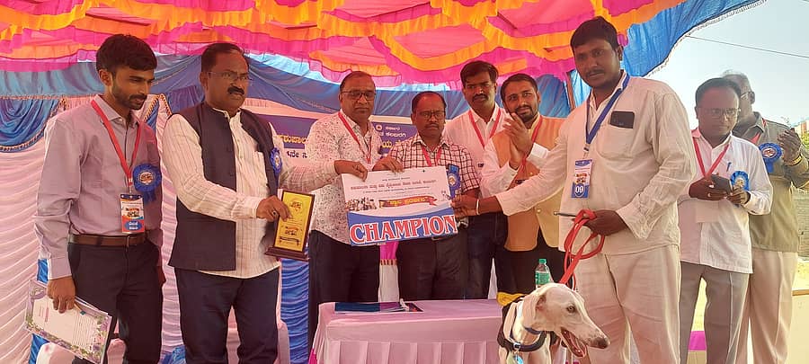ಚಿಂಚೋಳಿಯಲ್ಲಿ ಭಾನುವಾರ ನಡೆದ ತಾಲ್ಲೂಕು ಮಟ್ಟದ ಪ್ರಥಮ ಶ್ವಾನ ಪ್ರದರ್ಶನದಲ್ಲಿ ಕೆರೊಳ್ಳಿ ಗ್ರಾಮದ ಮುಧೋಳ್ ಹೌಂಡ್ ತಳಿಯ ನಾಯಿಯ ಮಾಲೀಕ ಚನ್ನಪ್ಪ ತಳವಾರ ಅವರಿಗೆ ಪಶು ಪಾಲನಾ ಮತ್ತು ಪಶು ವೈದ್ಯಕೀಯ ಸೇವಾ ಇಲಾಖೆಯ ಉಪನಿರ್ದೇಶಕ ಡಾ.ಶಫಿಯೋದ್ದಿನ್ ಅವಂಟಿ ಚಾಂಪಿಯನ್ ಆಫ್ ಚಾಂಪಿಯನ್ ಪ್ರಶಸ್ತಿ ವಿತರಿಸಿದರು