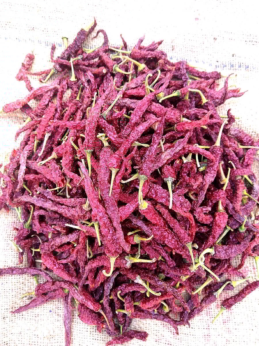 <div class="paragraphs"><p> ಬ್ಯಾಡಗಿ ಕಡ್ಡಿ ಮೆಣಸಿನಕಾಯಿ </p></div>