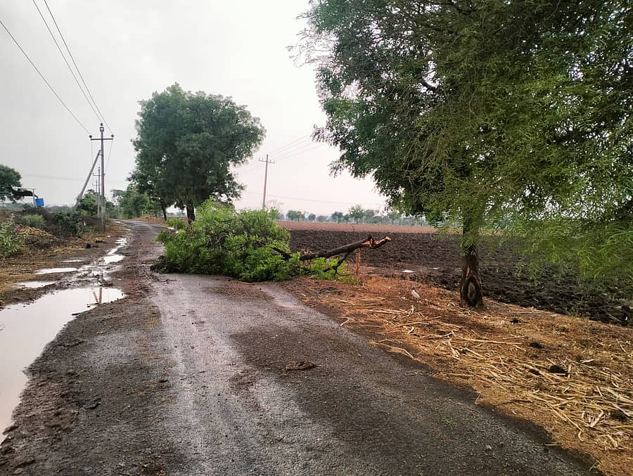 ಬೈಲಹೊಂಗಲ ಸಮೀಪದ ಹಾರೂಗೊಪ್ಪ ಗ್ರಾಮದಲ್ಲಿ ಗುರುವಾರ ಸುರಿದ ಗಾಳಿ, ಮಳೆಗೆ ಮುಖ್ಯರಸ್ತೆಯಲ್ಲಿ ಮರ ನೆಲಕ್ಕುರುಳಿ ಸಂಚಾರಕ್ಕೆ ಅಡಚಣೆ ಆಯಿತು