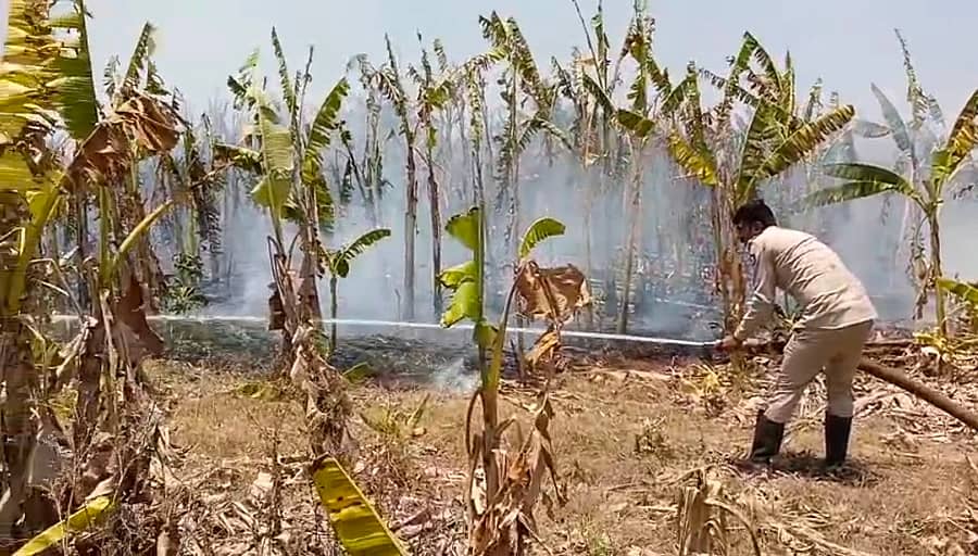 ಗುಡಿಬಂಡೆ ತಾಲ್ಲೂಕು ಅಪ್ಪೀರೆಡ್ಡಿಹಳ್ಳಿ ಬಳಿಯ ಬಾಳೆ ತೋಟದಲ್ಲಿ ಬೆಂಕಿ ನಂದಿಸುತ್ತಿರುವ ಅಗ್ನಿ ಶಾಮಕ ಸಿಬ್ಬಂದಿ