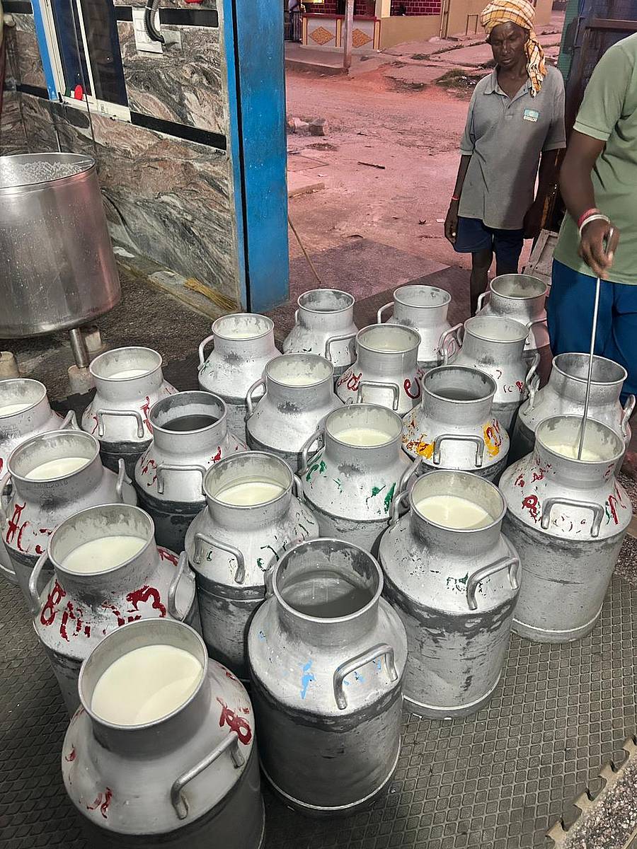 ಹಾಲಿನ ಗುಣಮಟ್ಟ ಪರೀಕ್ಷಿಸುತ್ತಿರುವುದು