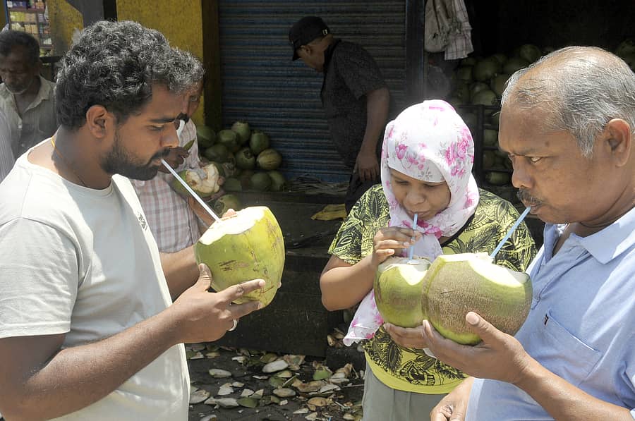 ಬಿಸಿಲಿನ ತಾಪದಿಂದ ನಲುಗಿರುವ ಜನ ಎಳನೀರಿನ ಮೊರೆ ಹೋಗಿರುವುದು